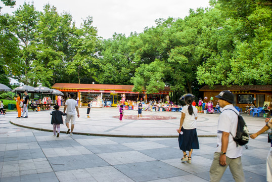溫州 江心嶼 公園 公園一角
