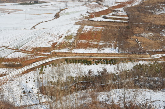 冬日田園