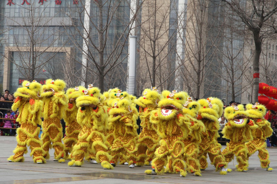 舞獅 小獅子