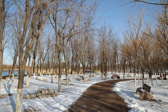 冬天的公園小路