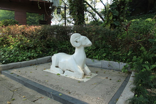 羊