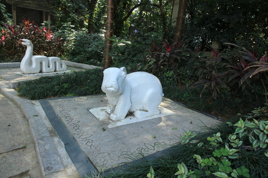 兔子