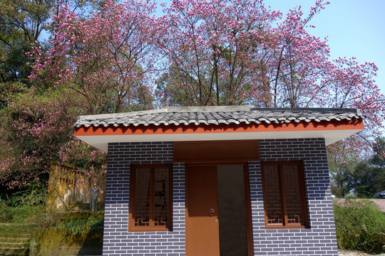 紅玉蘭 小屋 園林景觀
