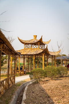 竹子屋頂