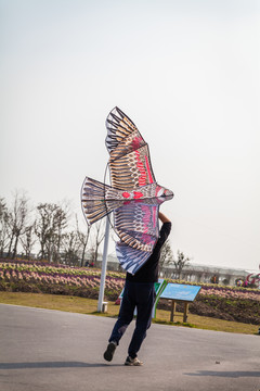 放風(fēng)箏