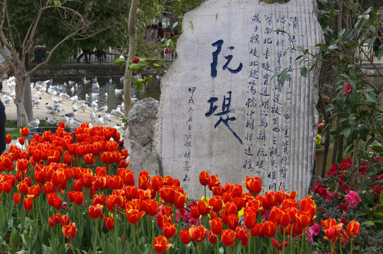 翠湖阮堤