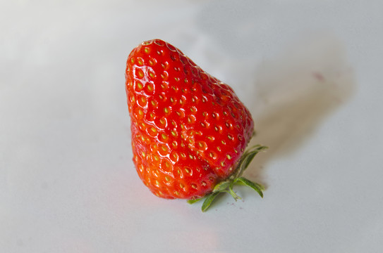 草莓