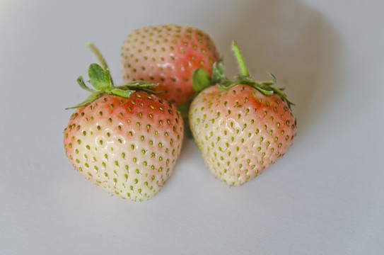 白草莓