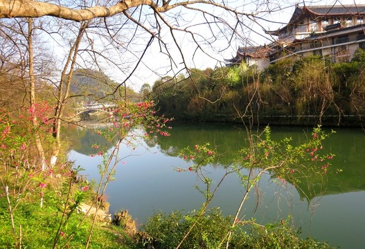桃花江