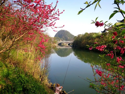 桃花江