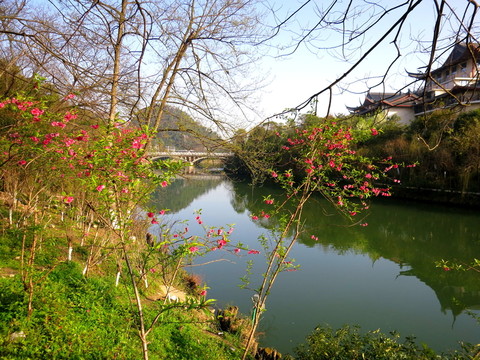 桃花江