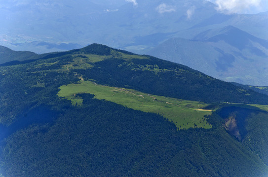 高山草甸