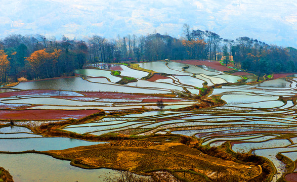 云南元陽(yáng)梯田