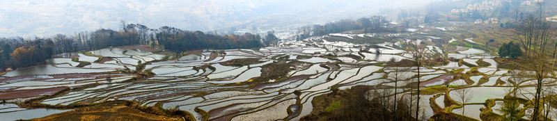 云南元陽(yáng)梯田