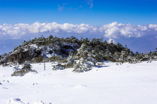 昆明轎子雪山