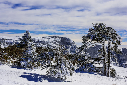 昆明轎子雪山