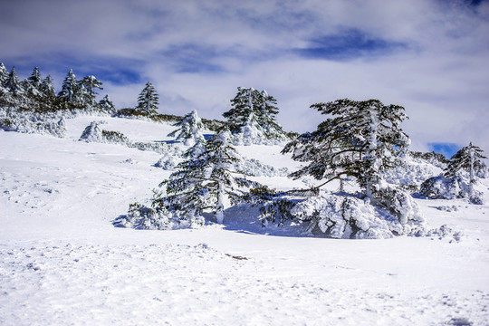 昆明轎子雪山