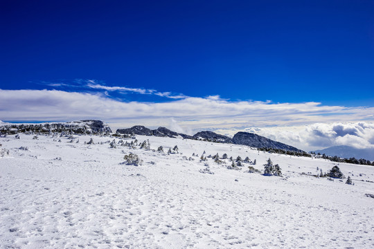 昆明轎子雪山