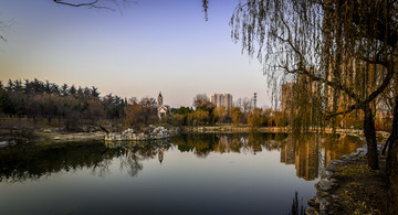 公園倒影
