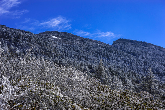 昆明轎子雪山