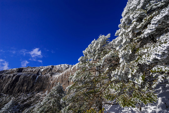 昆明轎子雪山