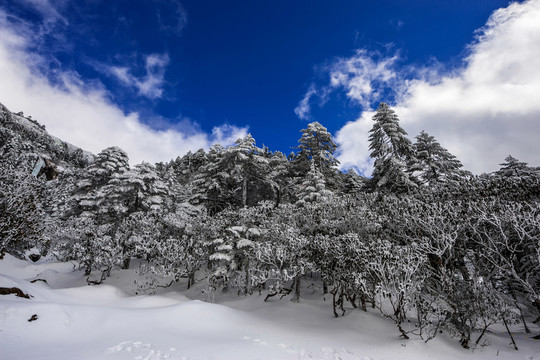 昆明轎子雪山