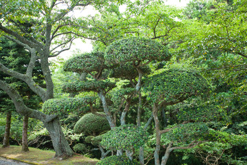 日本平和公園 日本園林園藝