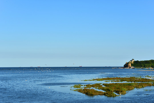 大海