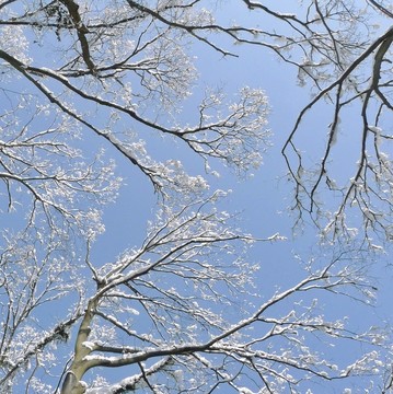 雪凇藍(lán)天