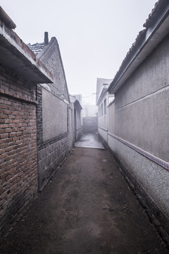 胡同