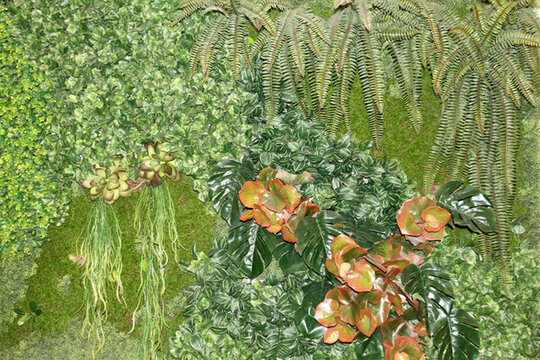 植物墻 綠葉背景 綠化墻 素材