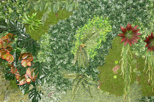 植物墻 綠葉背景 綠化墻 素材