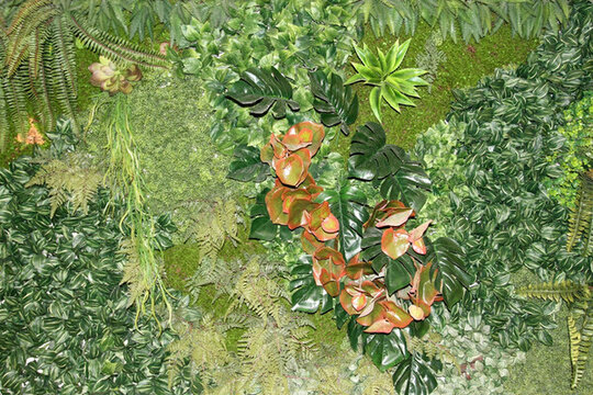 植物墻 綠葉背景 綠化墻 素材