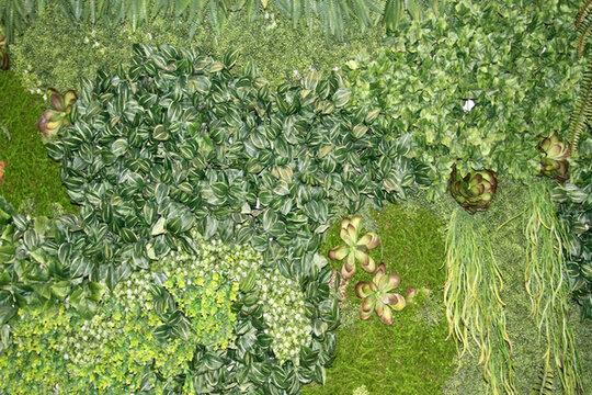 植物墻 綠葉背景 綠化墻 素材