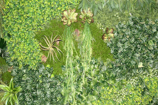 植物墻 綠葉背景 綠化墻 素材