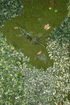 植物墻 綠葉背景 綠化墻 素材