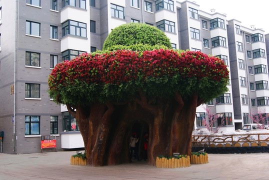 大型景觀樹