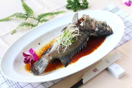 大青斑