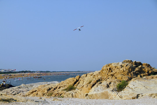 海鷗