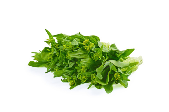油菜