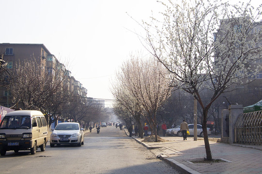 城市街景