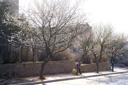 城市街景
