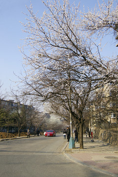城市街景