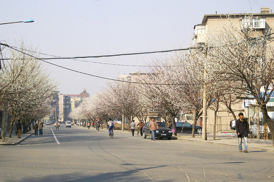 城市街景