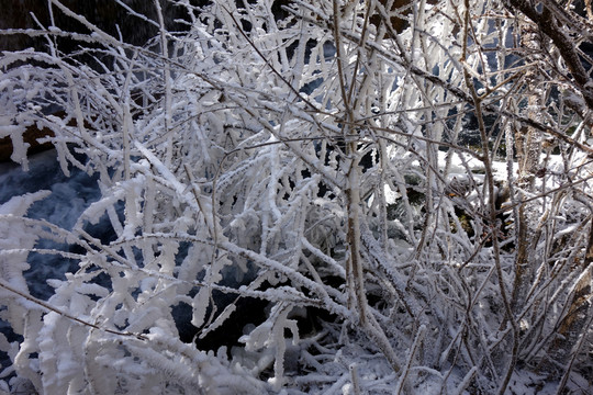 冰雪 霧凇 雪景 背景紋理