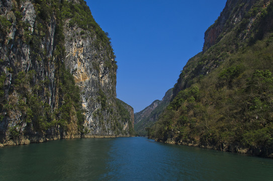 魯布革小三峽雄獅