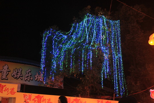第二十二屆自貢國(guó)際恐龍燈會(huì)