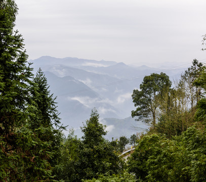 遠山