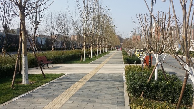 園林景觀