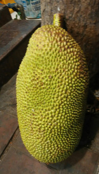 波羅蜜